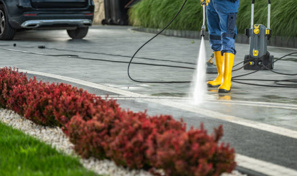 Best Commercial Building Pressure Washing  in Wray, CO