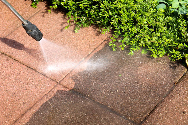  Wray, CO Pressure Washing Pros